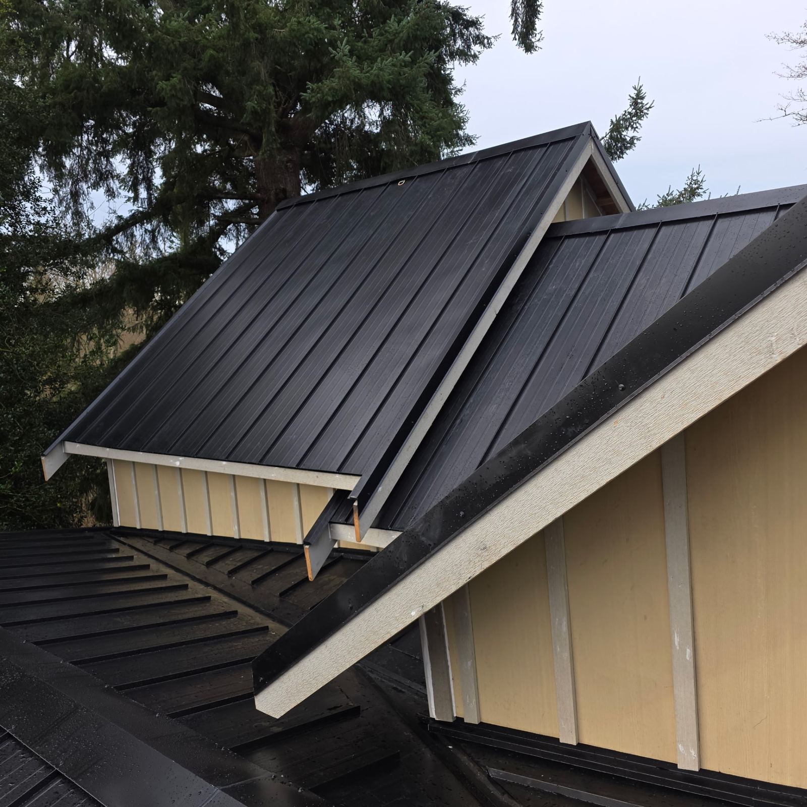 Black standing seam metal roof with dormer and new fascia detail