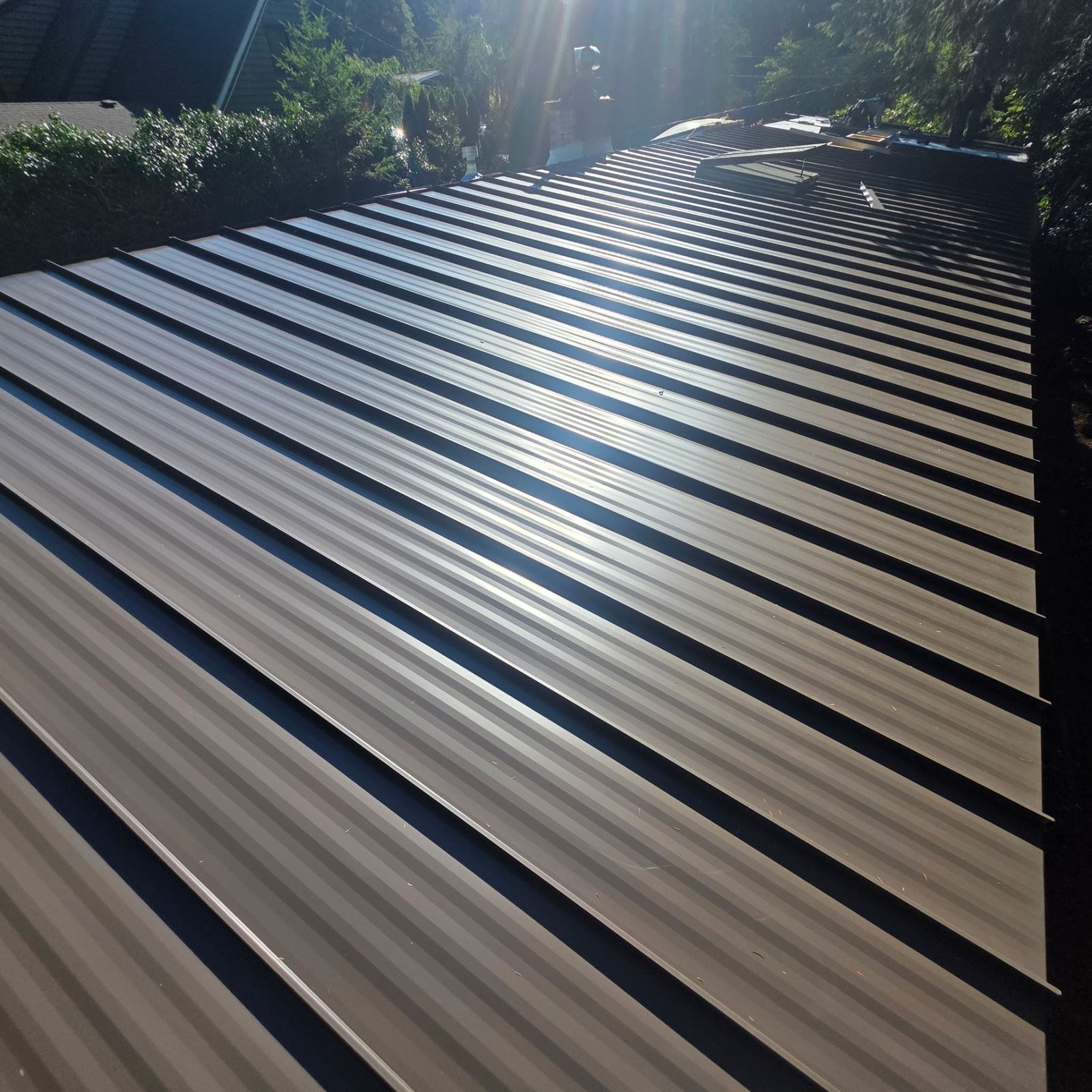 Completed metal roof panels catching afternoon sunlight